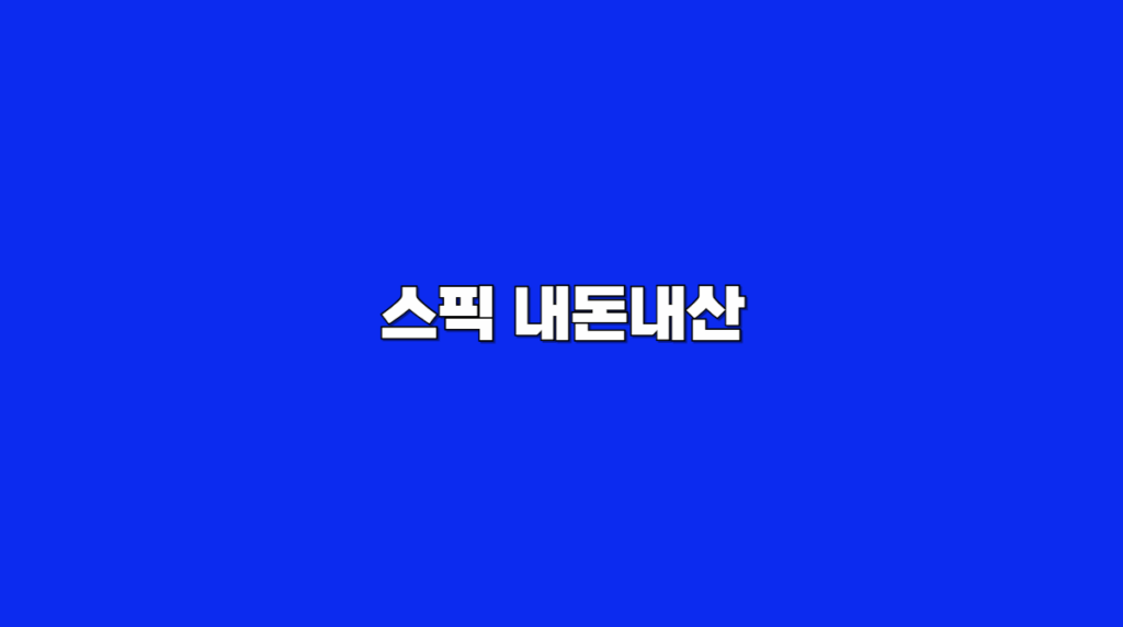 스픽 내돈내산
